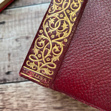 Load image into Gallery viewer, The Three Musketeers by Alexandre Dumas Faux Leather Illustrated Book
