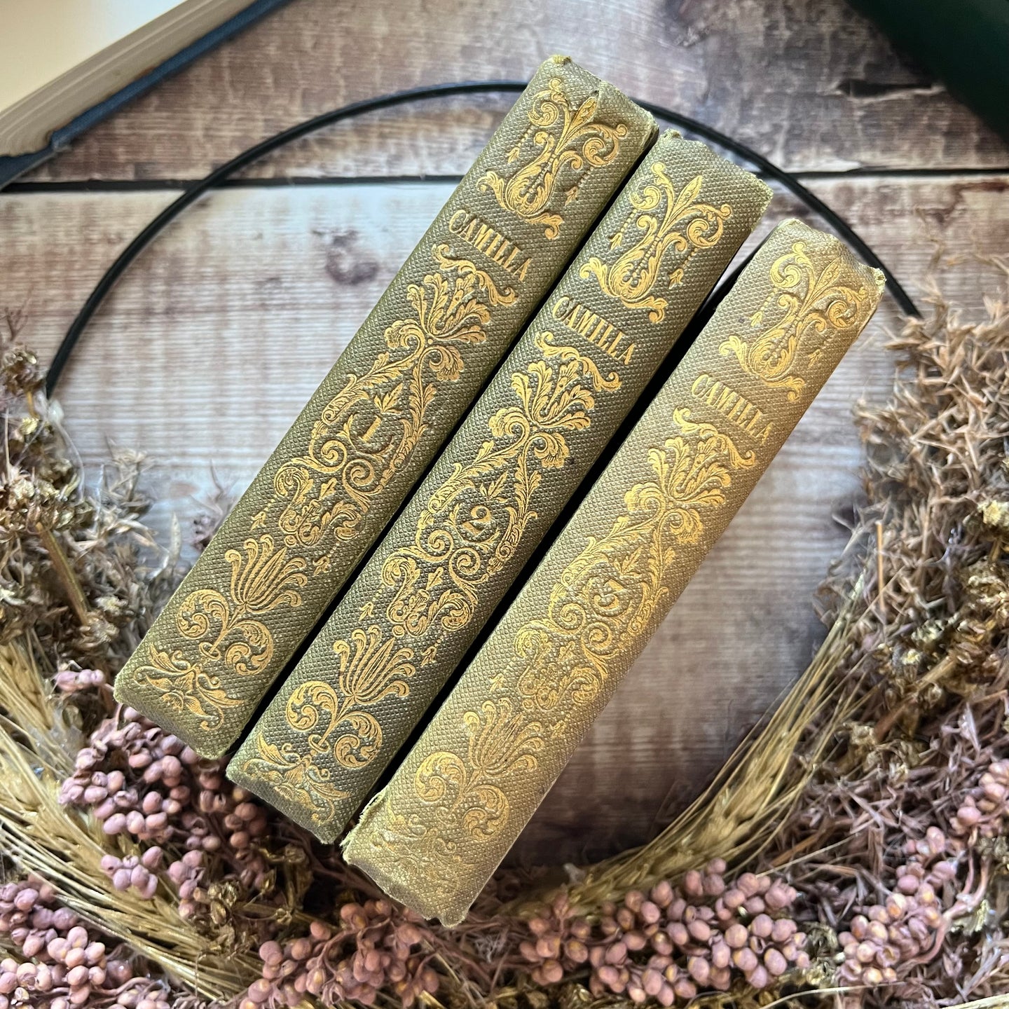 1840 Camilla by Fanny Burney Three Volume Collection of Antique Books