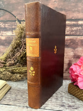 Load image into Gallery viewer, 1867 Holiday Excursions of A Naturalist by Robert Garner; First Edition; Rebound Full Leather

