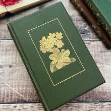 Load image into Gallery viewer, 1911 Alpine Plants of Europe by H.S.Thompson; Antique Floral Binding Book
