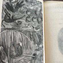 Load image into Gallery viewer, 1892 Wonderful Nests by Rev J.G. Wood; Late Victorian Natural History Book
