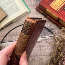 Load image into Gallery viewer, British Ferns and their Allies by Thomas Moore Mid Victorian Book with Colour Plates
