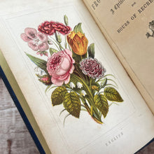 Load image into Gallery viewer, Flowers from Many Lands; Christian Companion Victorian Book with Colour Plates
