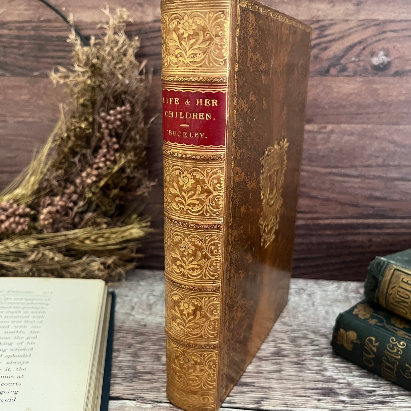 1895 Life and Her Children by Arabella Buckley Illustrated Full Tree Calf Leather Book