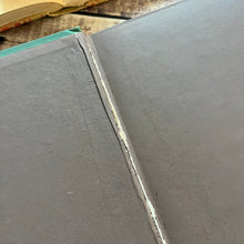 Load image into Gallery viewer, Familiar Wild Flowers Volume 2 by Edward Hulme Beautiful Antique Book
