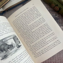Load image into Gallery viewer, Aileen Aroon A Memoir; With Other Tales of Faithful Friends and Favourites; Victorian Book
