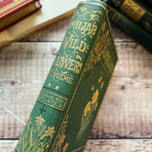 Load image into Gallery viewer, Familiar Wild Flowers Volume 2 by Edward Hulme Beautiful Antique Book
