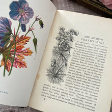Load image into Gallery viewer, Familiar Wild Flowers First Series by Edward Hulme; Half Leather Illustrated Book
