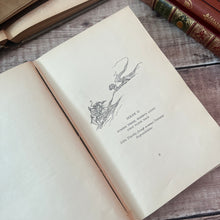 Load image into Gallery viewer, 1895 Timothy&#39;s Quest by Kate Douglas Wiggin Late Victorian Illustrated Book
