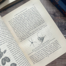 Load image into Gallery viewer, 1877 Sketches of Animal Life and Habits by Andrew Wilson; Illustrated Nature Book
