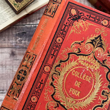 Load image into Gallery viewer, 1879 Beautiful French Binding; Impressions d'un Pèlerin de Terre-Sainte au Printemps de 1855
