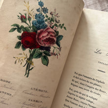 Load image into Gallery viewer, 1839 Nouveau Langage Des Fleurs; Quarter Leather Book with Hand Coloured Plates
