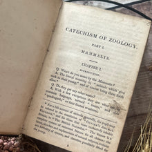 Load image into Gallery viewer, 1831 Catechism of Zoology; Antiquarian Half Leather Book with Illustrations
