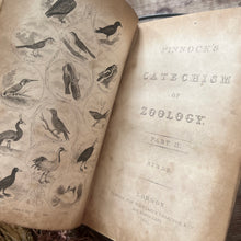 Load image into Gallery viewer, 1831 Catechism of Zoology; Antiquarian Half Leather Book with Illustrations
