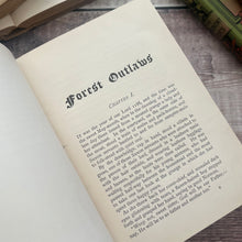 Load image into Gallery viewer, 1887 Forest Outlaws or St Hugh and the King Victorian Illustrated Book
