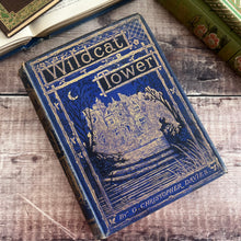 Load image into Gallery viewer, Wildcat Tower by G. Christopher Davies; Victorian Illustrated Book
