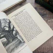 Load image into Gallery viewer, 1903 Garden Mosaics Philosophical, Moral and Horticultural by Alfred Simson
