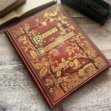 Load image into Gallery viewer, Rare but WORN edition of Beauty of Common Things Ornate Victorian Book
