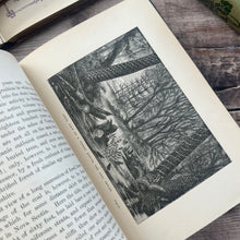 Load image into Gallery viewer, 1894 Chips from the Earth's Crust by John Gibson; Illustrated Victorian Book
