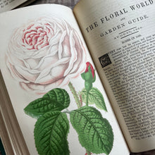 Load image into Gallery viewer, 1868 The Floral World edited by Shirley Hibberd with Colour Plates
