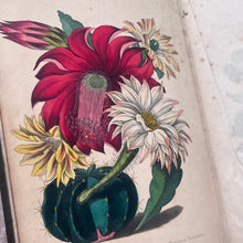 Load image into Gallery viewer, 1838 The Greenhouse, Hot House and Stove by Charles McIntosh; Hand Coloured Plates
