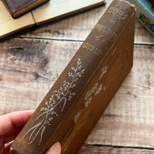 Load image into Gallery viewer, Cora or Three Years of a Girl's Life; Late Victorian Floral Binding
