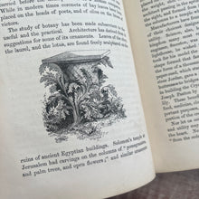 Load image into Gallery viewer, Beauties and Wonders of Vegetable Life; 19th Century Illustrated Book
