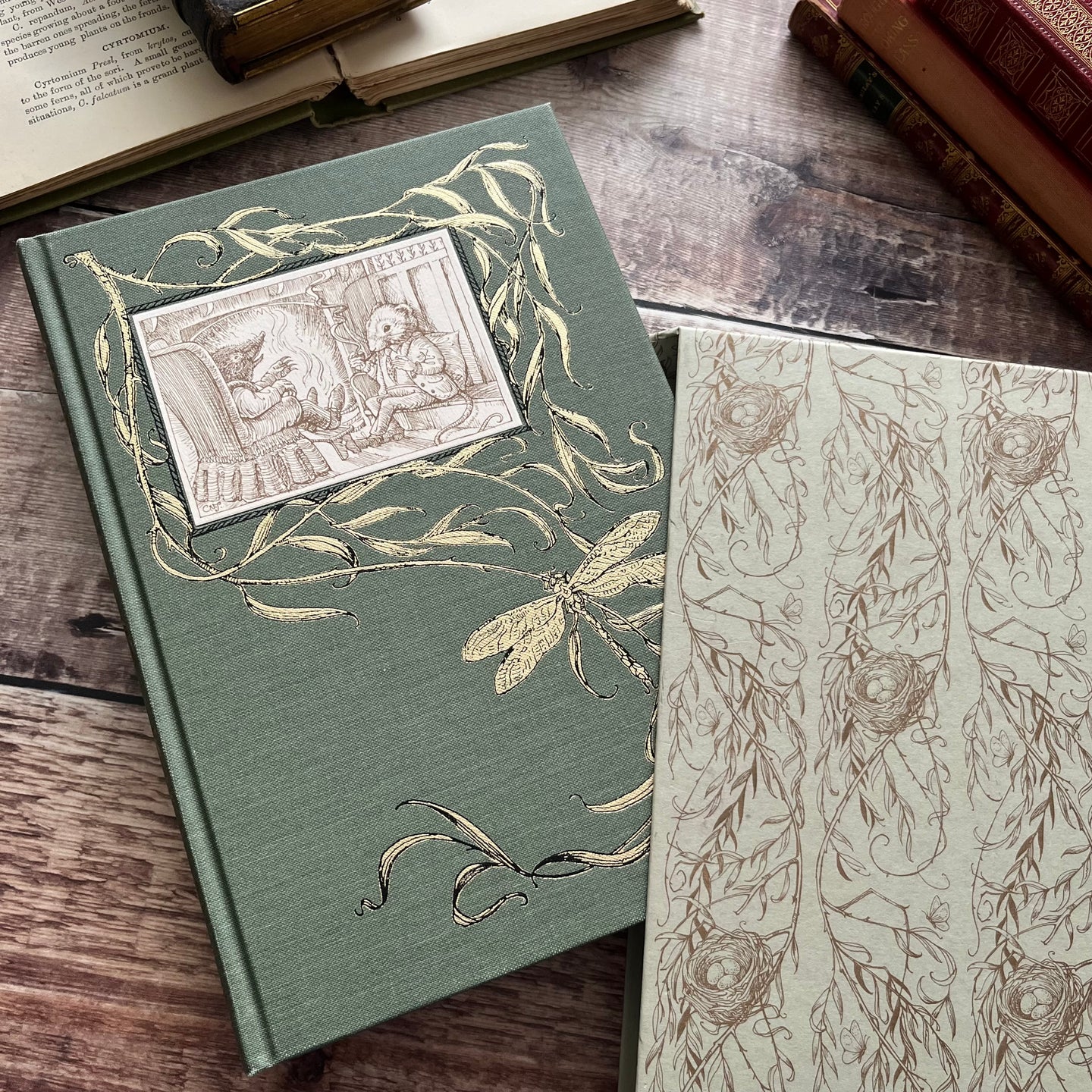 2013 Wind in the Willows by Kenneth Grahame Illustrated Folio Society Book with Slipcase