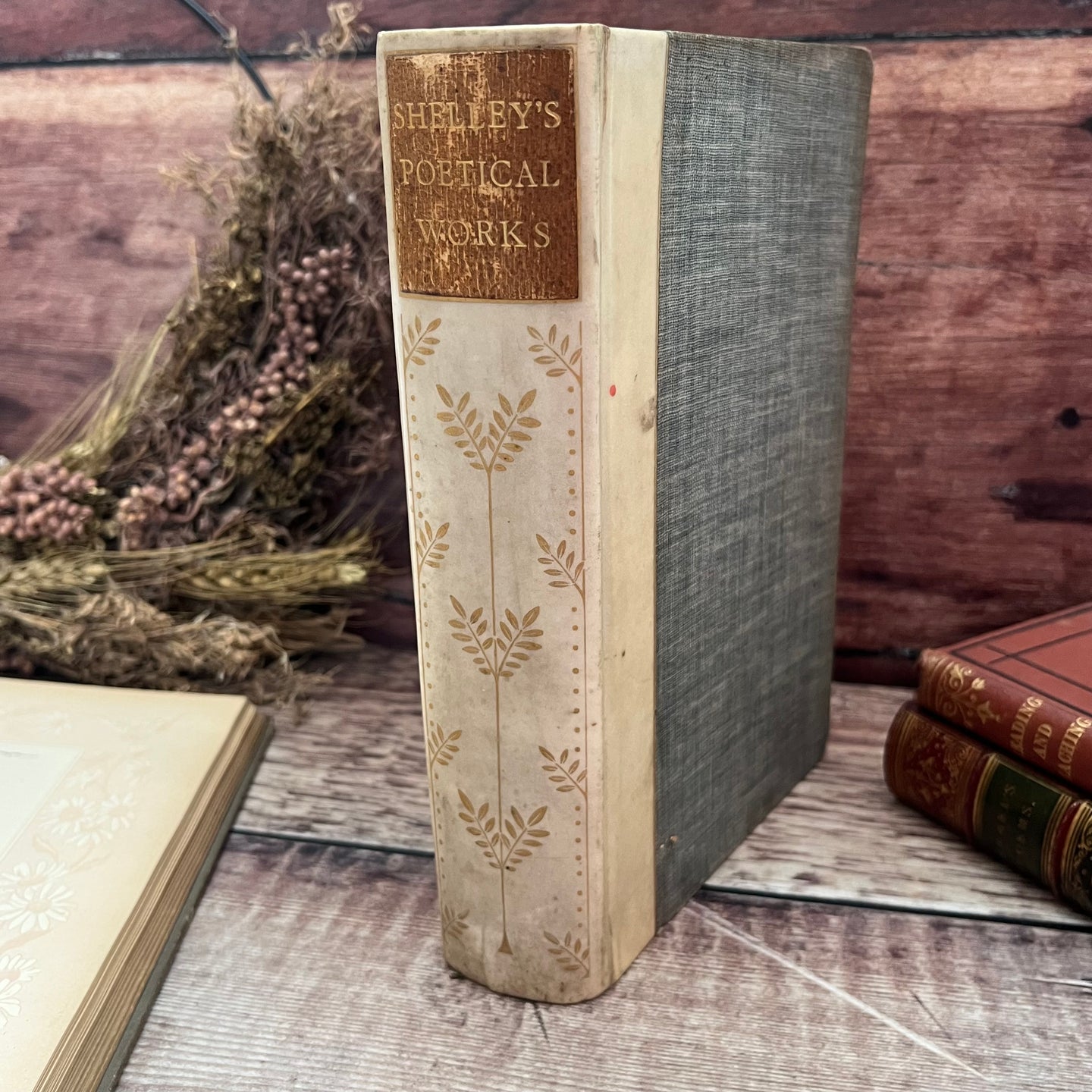 1909 Shelley's Poetical Works Quarter Bound Vellum Antique Fine Binding Book