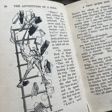 Load image into Gallery viewer, The Adventures of a Dodo by GE Farrow Illustrated by Willy Pogany Rare Antique Book
