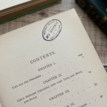 Load image into Gallery viewer, 1901 Life and Her Children by Arabella Buckley Illustrated Antique Book
