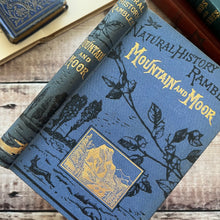 Load image into Gallery viewer, 1880 Mountain and Moor; Natural History Rambles Illustrated Victorian Book
