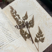 Load image into Gallery viewer, 1853 The Book of Gems Modern Poets and Artists Poetry Full Leather Book
