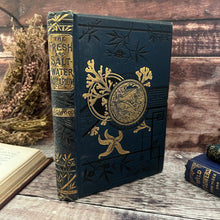 Load image into Gallery viewer, The Fresh and Saltwater Aquarium by Rev J G Wood Victorian Book with Plates
