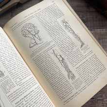 Load image into Gallery viewer, 1902 Household Physician by McGregor Robertson; Illustrated Medical Text
