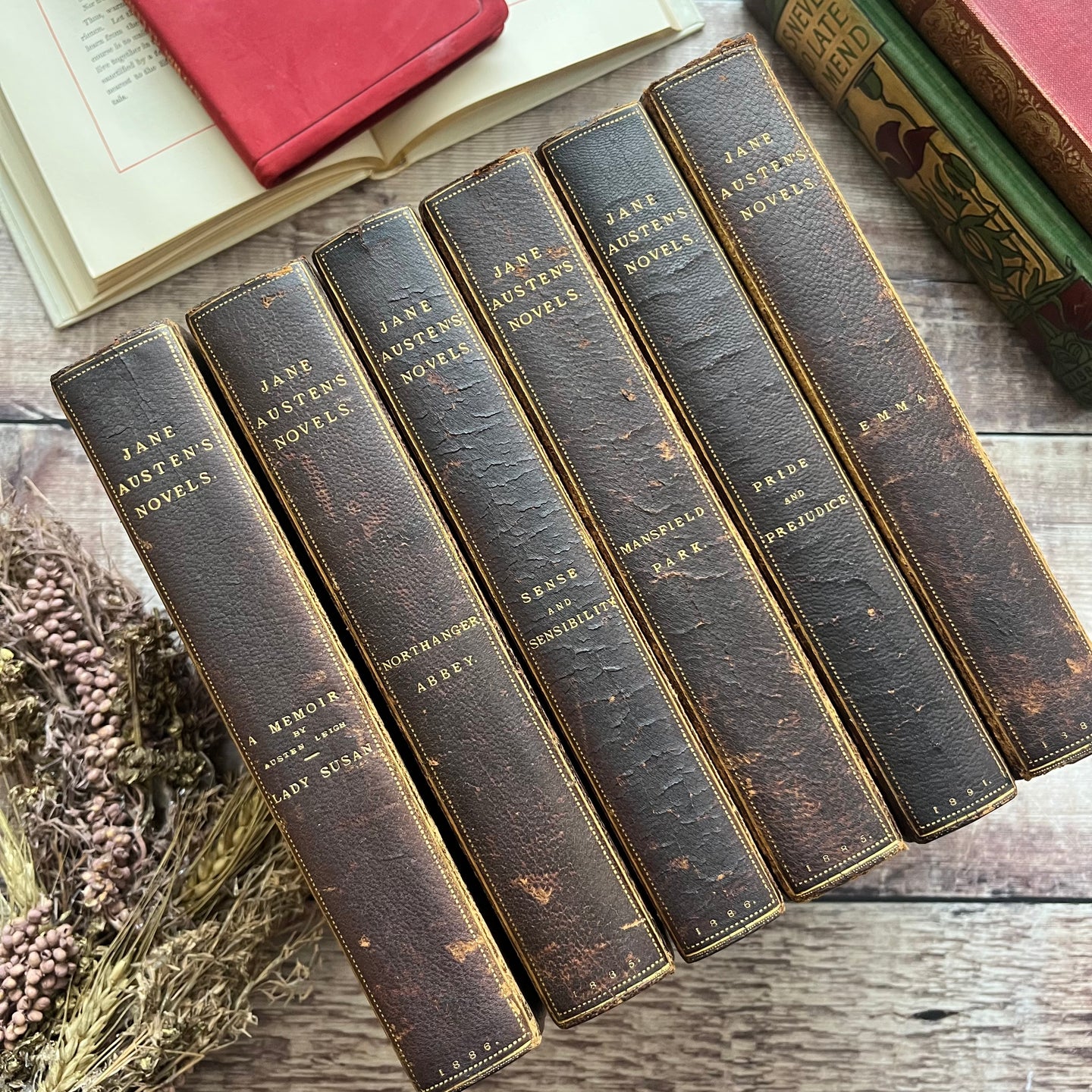 Collection of the Works of Jane Austen Half Leather Bound Victorian Books