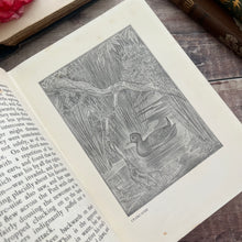 Load image into Gallery viewer, 1913 Wild Life on the Wing by M.D.Haviland; Illustrated Antique Bird Book
