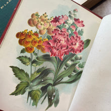 Load image into Gallery viewer, 1875 The Language and Poetry of Flowers Mid Victorian Book Beautiful Binding

