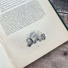 Load image into Gallery viewer, 1866 Gay&#39;s Fables by Octavius Freire Owen Victorian Book Illustrated Antique
