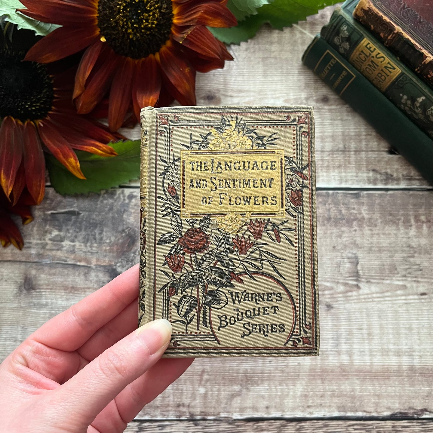 The Language and Sentiment of Flowers Warne's Bouquet Series Late Victorian Book
