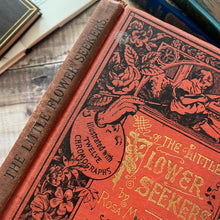 Load image into Gallery viewer, The Little Flower Seekers by Rosa Mulholland Beautiful Victorian Children's Book
