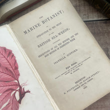 Load image into Gallery viewer, 1853 The Marine Botanist; An Introduction to the Study of British Seaweeds Illustrated
