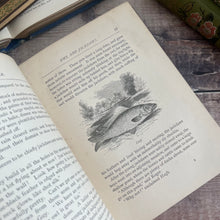 Load image into Gallery viewer, Wildcat Tower by G. Christopher Davies; Victorian Illustrated Book
