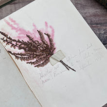 Load image into Gallery viewer, 1907 The High Tops of Black Mount by The Marchioness of Breadalbane; Illustrated Book

