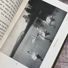 Load image into Gallery viewer, 1907 The High Tops of Black Mount by The Marchioness of Breadalbane; Illustrated Book
