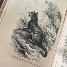 Load image into Gallery viewer, The Poetical Works of Thomas Campbell Beautiful Victorian Cloth Bindng
