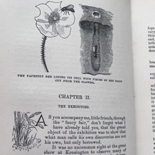 Load image into Gallery viewer, Lady-Bird's Tea-Party and Other Stories by James Crowther; Stunning Pictorial Cloth SCARCE Book
