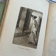 Load image into Gallery viewer, 1932 Evelina by Fanny Burney Macmillan and Co Beautiful Binding Antique Book
