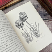 Load image into Gallery viewer, 1896 Riverside Letters by George D Leslie Full Tree Calf Leather Book
