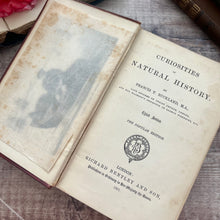 Load image into Gallery viewer, 1891 Curiosities of Natural History by Francis Buckland; Victorian Illustrated Book
